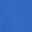 Electric Blue Shark