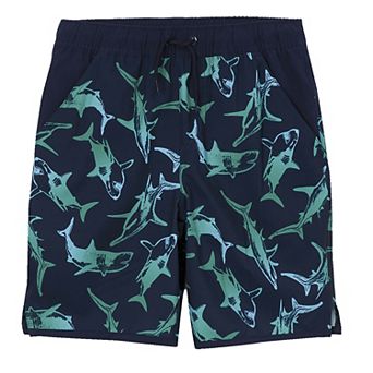 Boys 6-16 Lands' End Hydroliner Swim Trunks