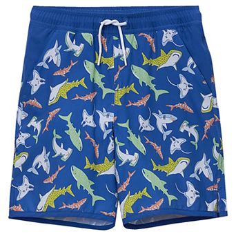 Boys 6-16 Lands' End Hydroliner Swim Trunks