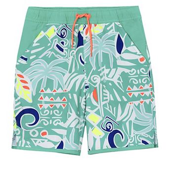 Boys 6-16 Lands' End Hydroliner Swim Trunks