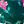 Emerald Green Petal