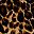 Brown Painterly