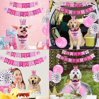 Cute Dog Birthday Outfit Set Princess Puppy Tutu Skirt With Pink Crown