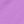 Soft Orchid