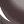 Clove