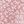 Pink Floral