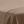 Taupe Sand