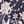 Navy Decor Dora