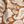 Brown Small Paisley