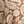 Brown Small Paisley
