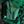 Created Emerald