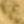 Gold Tone