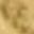 Gold Tone