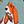 Dogs