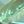 Synth Green Quartz May