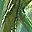 Synth Green Quartz May