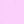 Wild Lilac