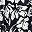 Black White Flowers