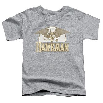 DC Comics Fly By Short Sleeve Toddler T-Shirt