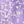 Purple White