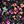 Black Large Floral