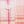 Coral Pink Plaid
