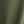 Olive Forest