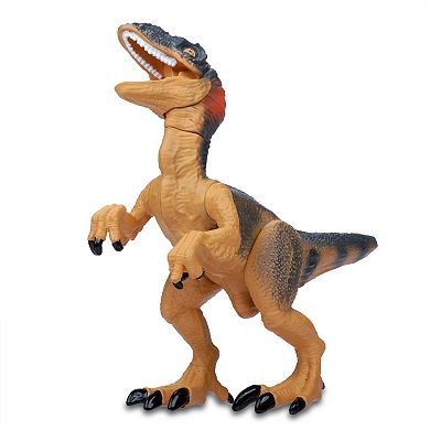 Kid Galaxy Dinosaur Attack 4-Pack T-Rex Carnotaurus Velociraptor Dimetrodon