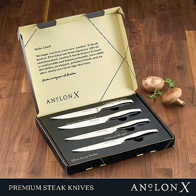 Anolon X Stainless Steel 4-Piece Steak Knife Set