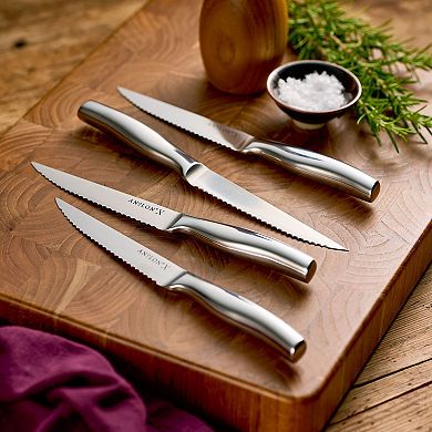 Anolon X Stainless Steel 4-Piece Steak Knife Set