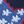 Red Stars Usa
