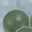 Green Apricot