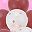 Pink Red Rose Clear