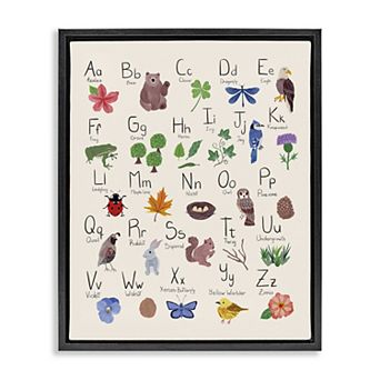 Stupell Home Decor Animal Alphabet Framed Canvas Wall Decor
