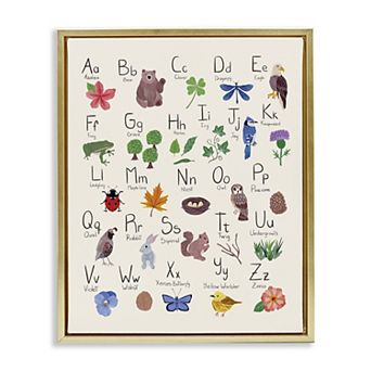 Stupell Home Decor Animal Alphabet Framed Canvas Wall Decor
