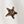 Star Placement Ivory