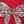 Silver Bows Red