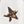Star Placement Ivory