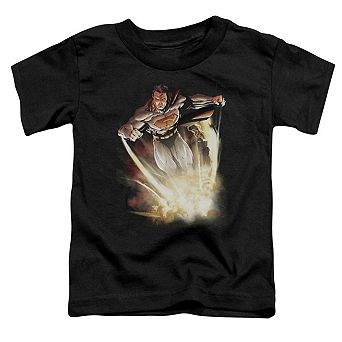 Superman Explosive Short Sleeve Toddler T-Shirt