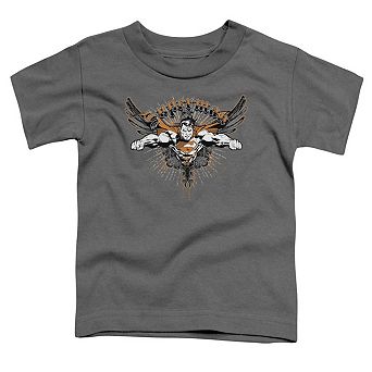 Superman Take Wing Short Sleeve Toddler T-Shirt