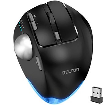 Delton T100 Ergonomic Tilt Wireless Trackball Computer Mouse