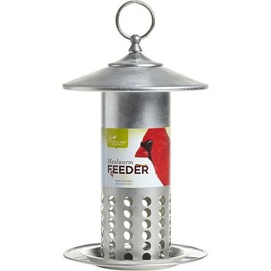 Silver Mealworm Bird Feeder - 11.25"