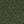 Dark Cilantro Green