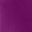 Purple Tulip