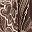Chocolate Paisley