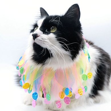 Midlee Easter Egg Decorative Dog Collar