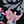 Pink Multi