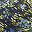 Deep Sea Navy Floral