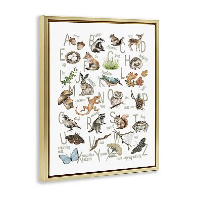 Stupell Home Decor Woodland Nature Alphabet Framed Canvas Wall Art