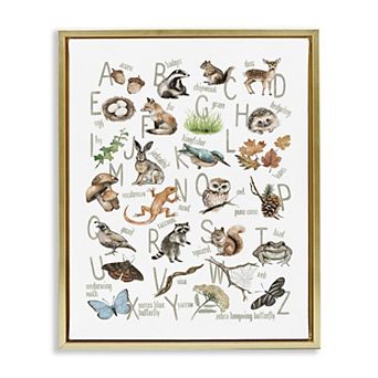 Stupell Home Decor Woodland Nature Alphabet Framed Canvas Wall Art